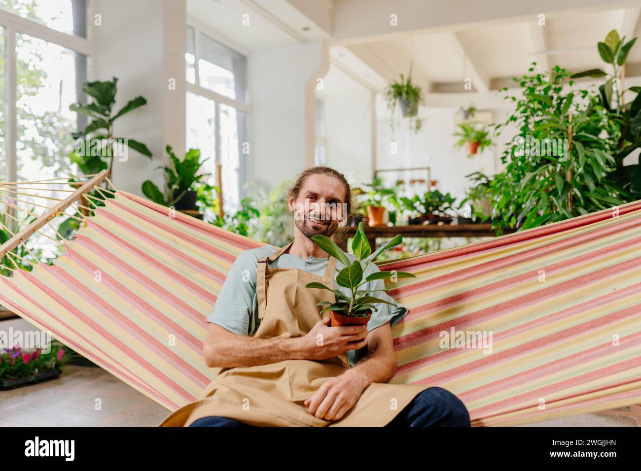 Long haired blond Caucasian gardener relaxing at hammock working relaxing holding Ficus at pot in the garden center. Stock Photo