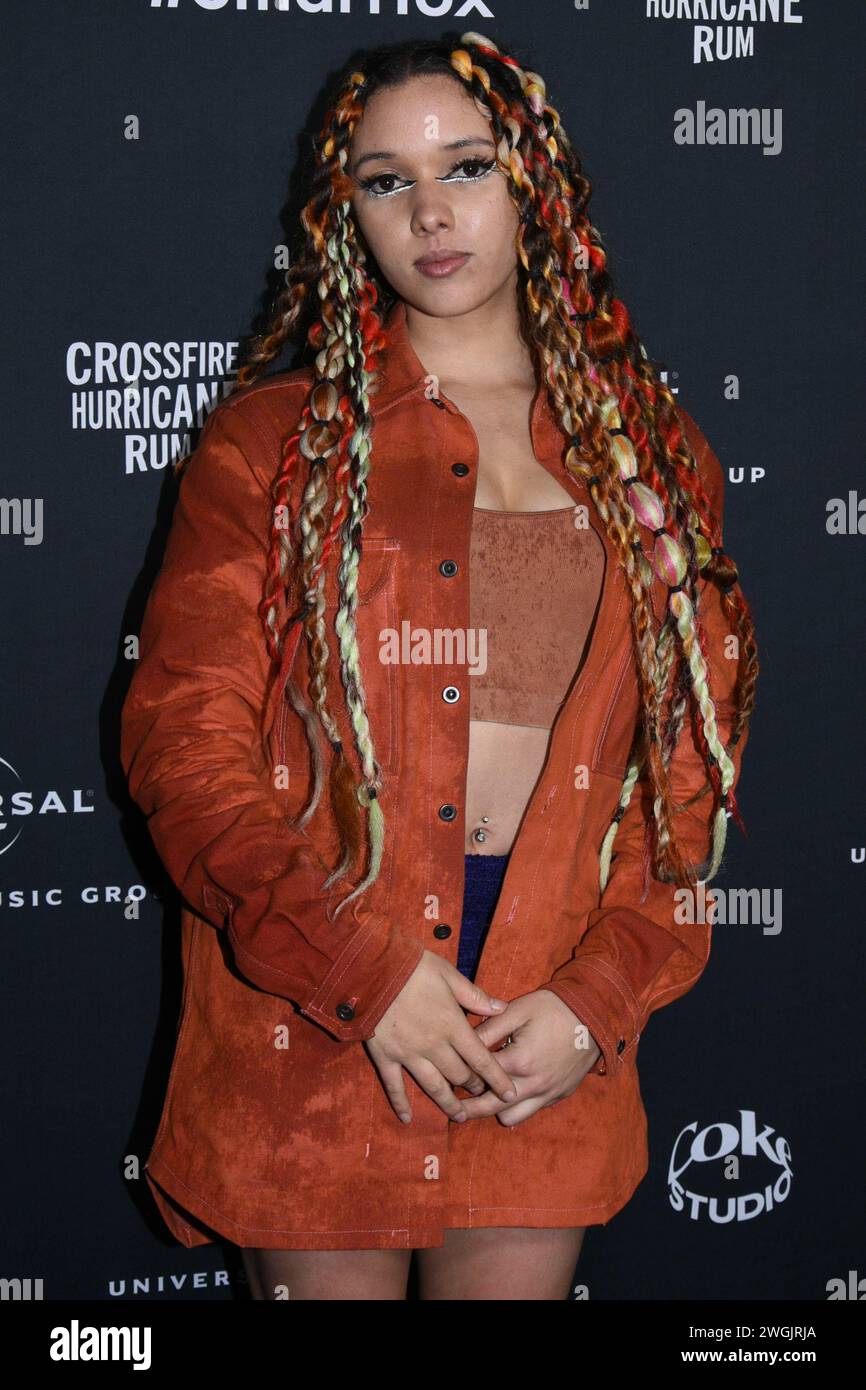 Amy Lesser Los Angeles, USA. 05th Feb, 2024. Goldie Lux attends Universal Music ...