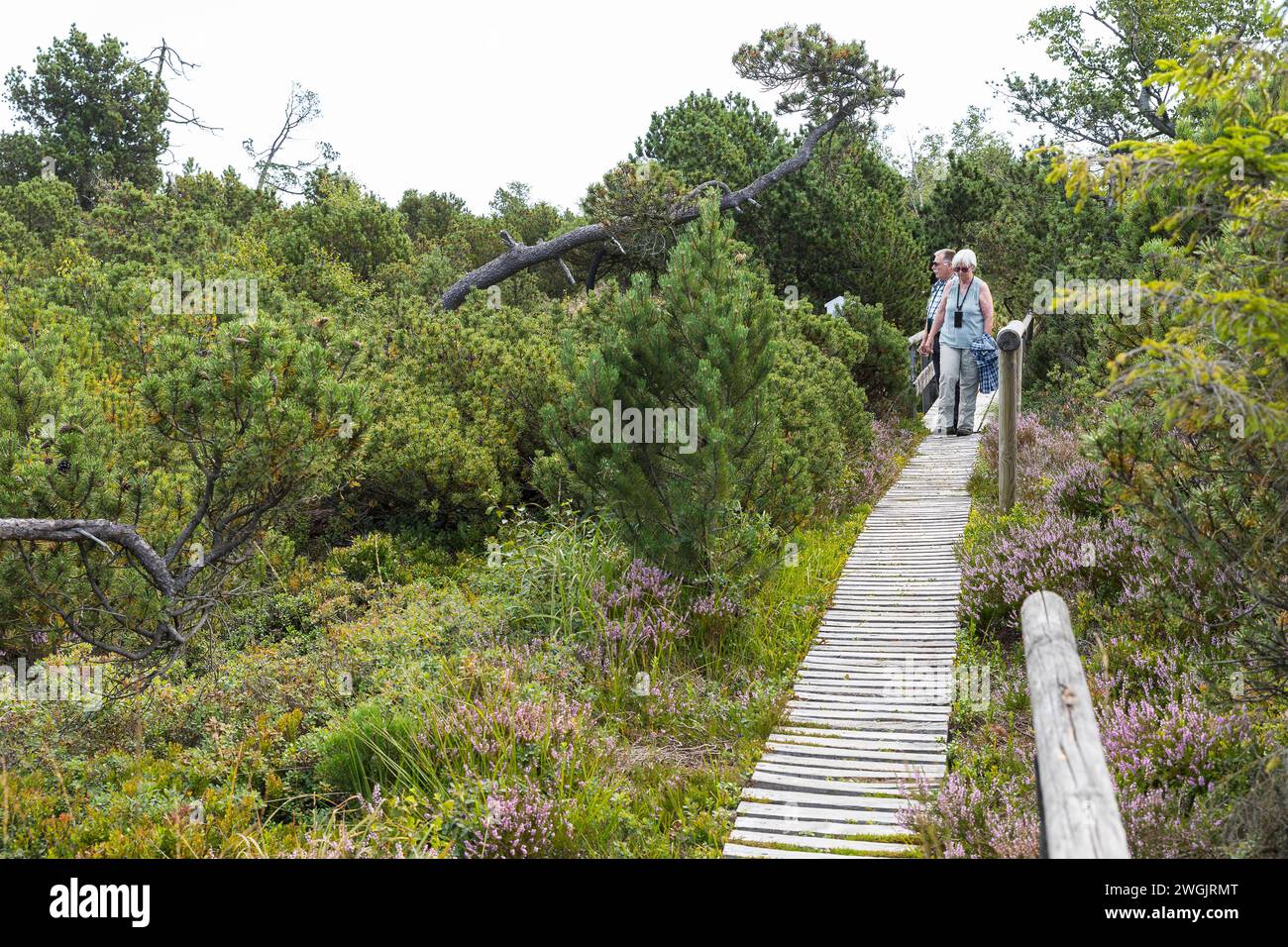 Besucher auf dem Bohlenweg durch das Naturschutzgebiet