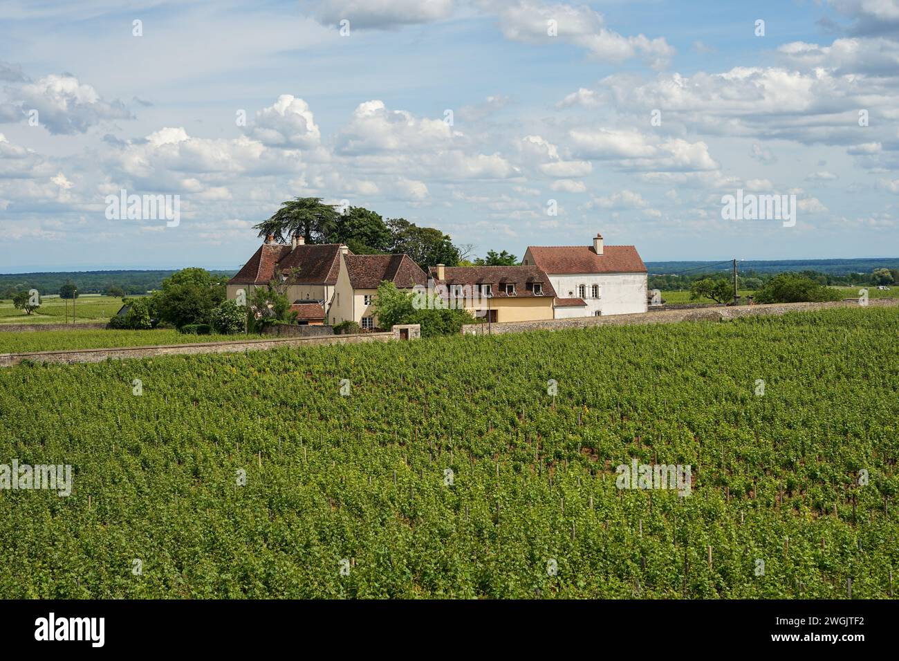 Burgundy, France June 12 2021 Bourgogne traditional chateau winery