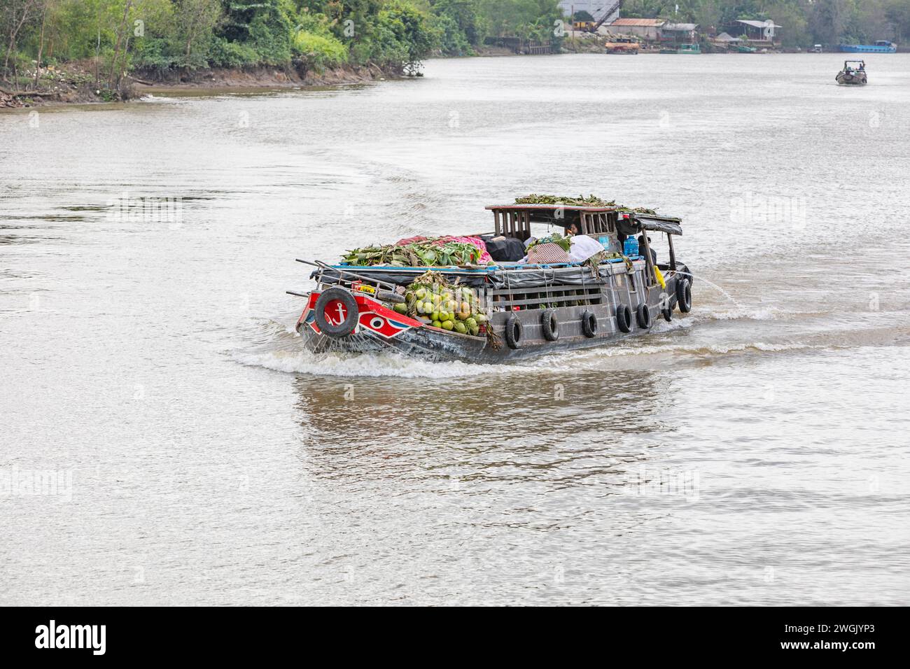 A boat heavily laden with coconuts on the Mekong river delta, near to Vinh Long, Vietnam. Stock Photo