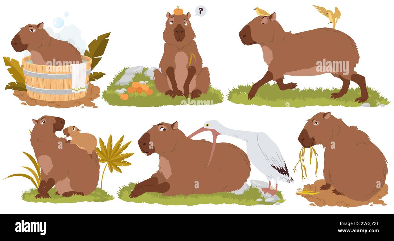 Happy capybara wild animal enjoying different fun activity set Stock ...