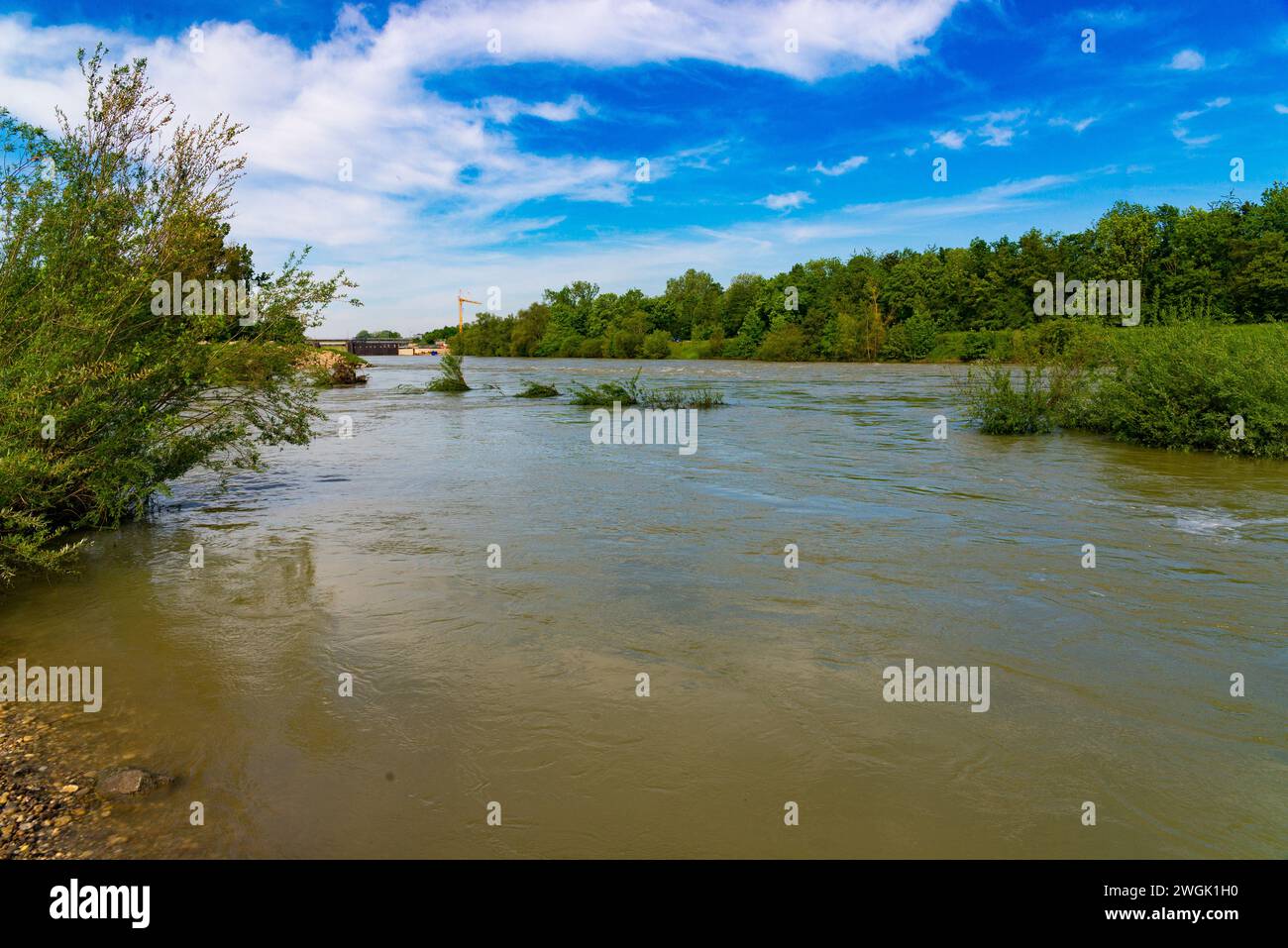 At the Isar flood plains Stock Photo