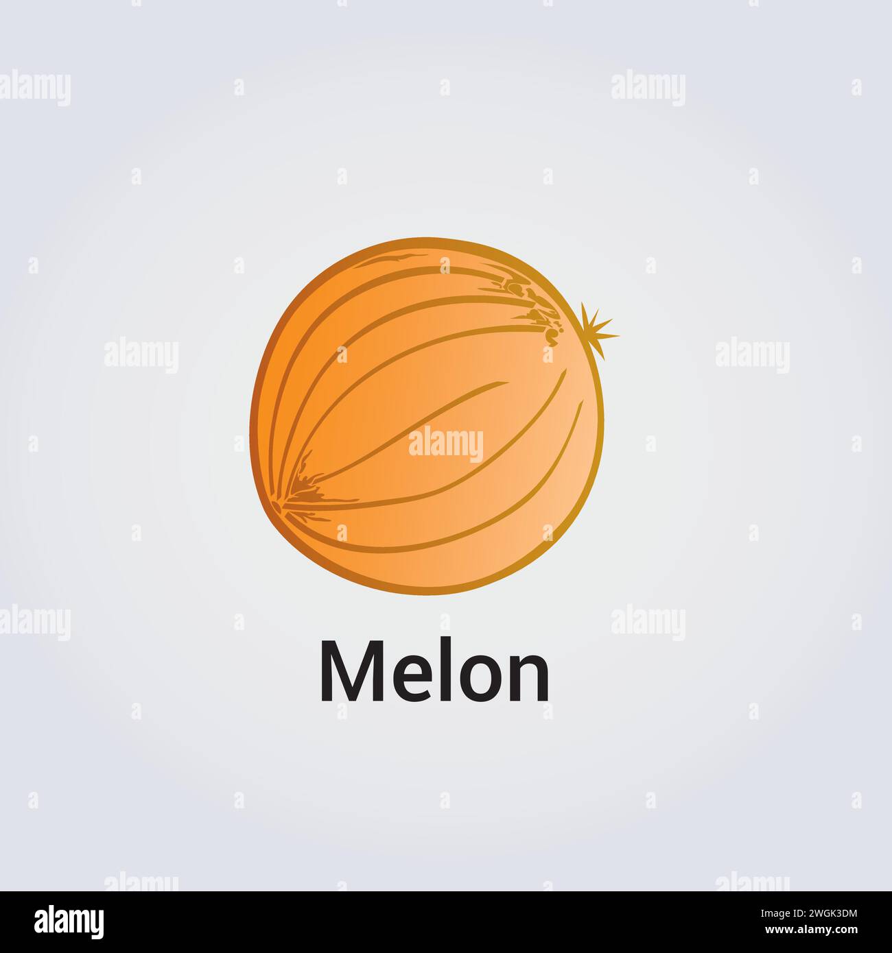 Melon Cantaloupe Fruit Illustration Icon - Vector Design Elements - Hand drawn Stock Vector