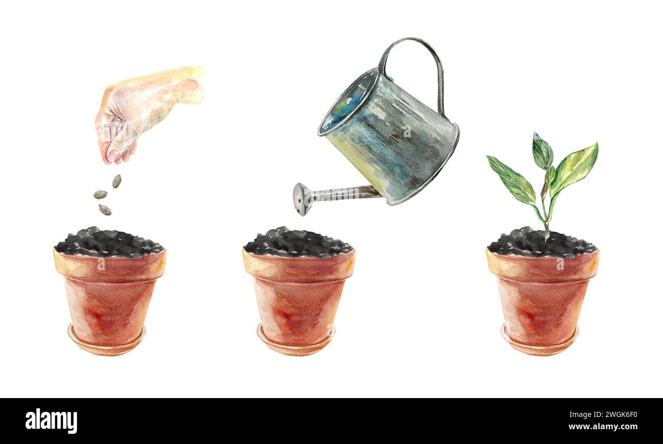 Stages of planting a plant. Clay pots, hand, watering can. Watercolor illustration isolated on white background. Design element for covers, spring ban Stock Photo