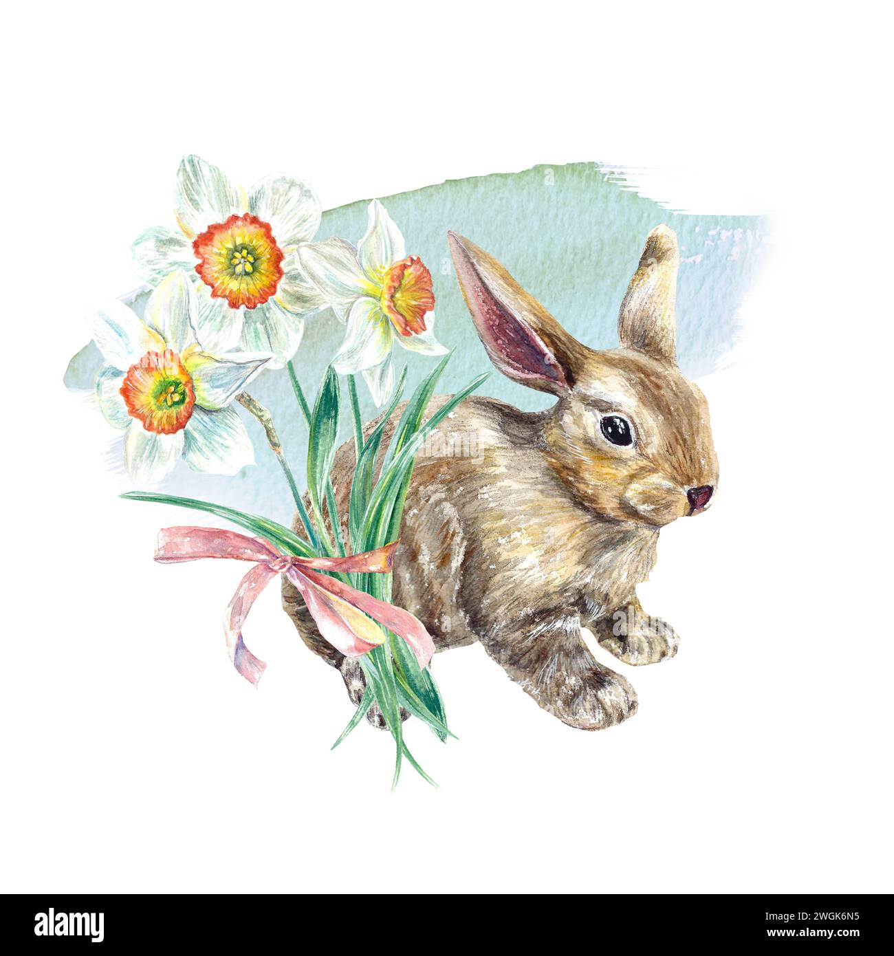 Easter bunny watercolor, daffodils. Illustration isolated on white ...