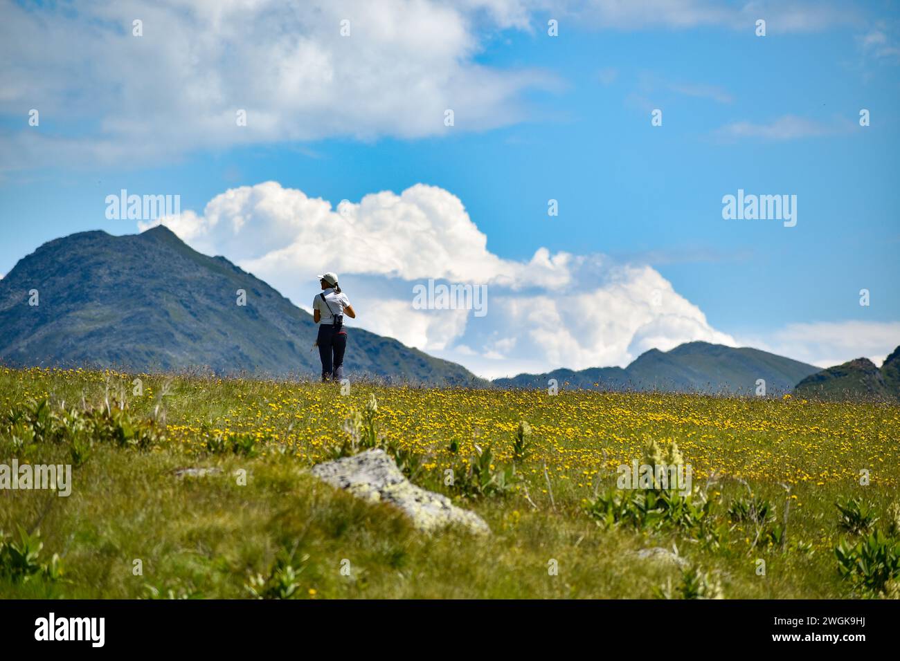 female hiker at Etrachboeden near Soelkpass, Niedere Tauern, Austrian alps Stock Photo