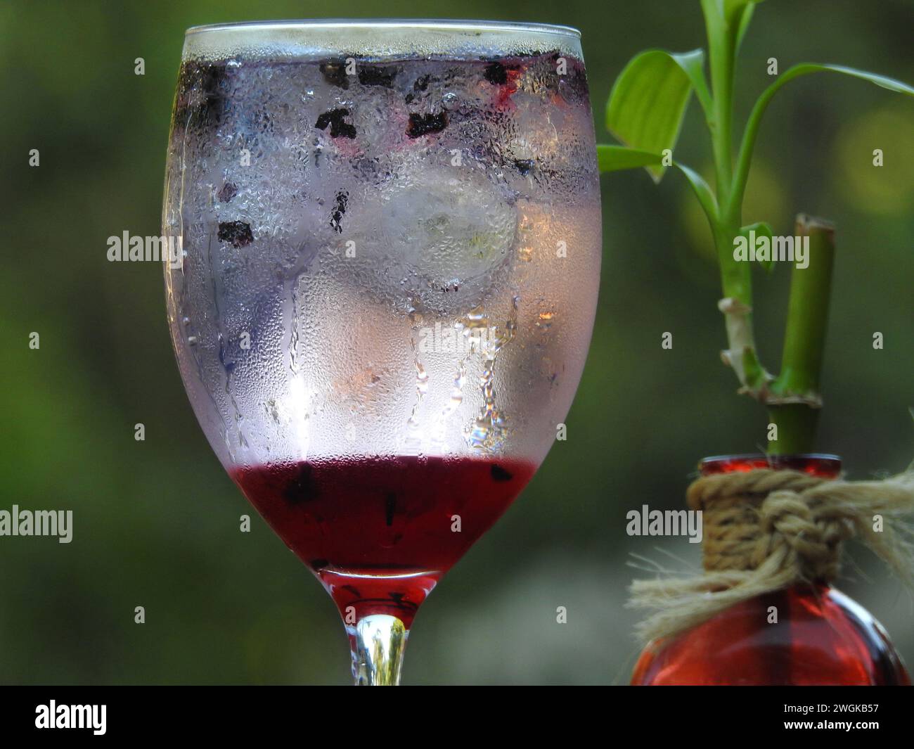 A drink gin and tonic with hibiscus and hibiscus syrup Stock Photo Alamy