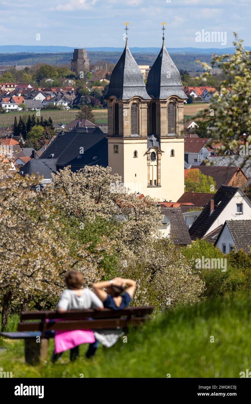Village Ockstadt, part of the town Friedberg, Hesse, Germany, Europe, with the catholic parish church St Jacob during cherry blossom season. Stock Photo