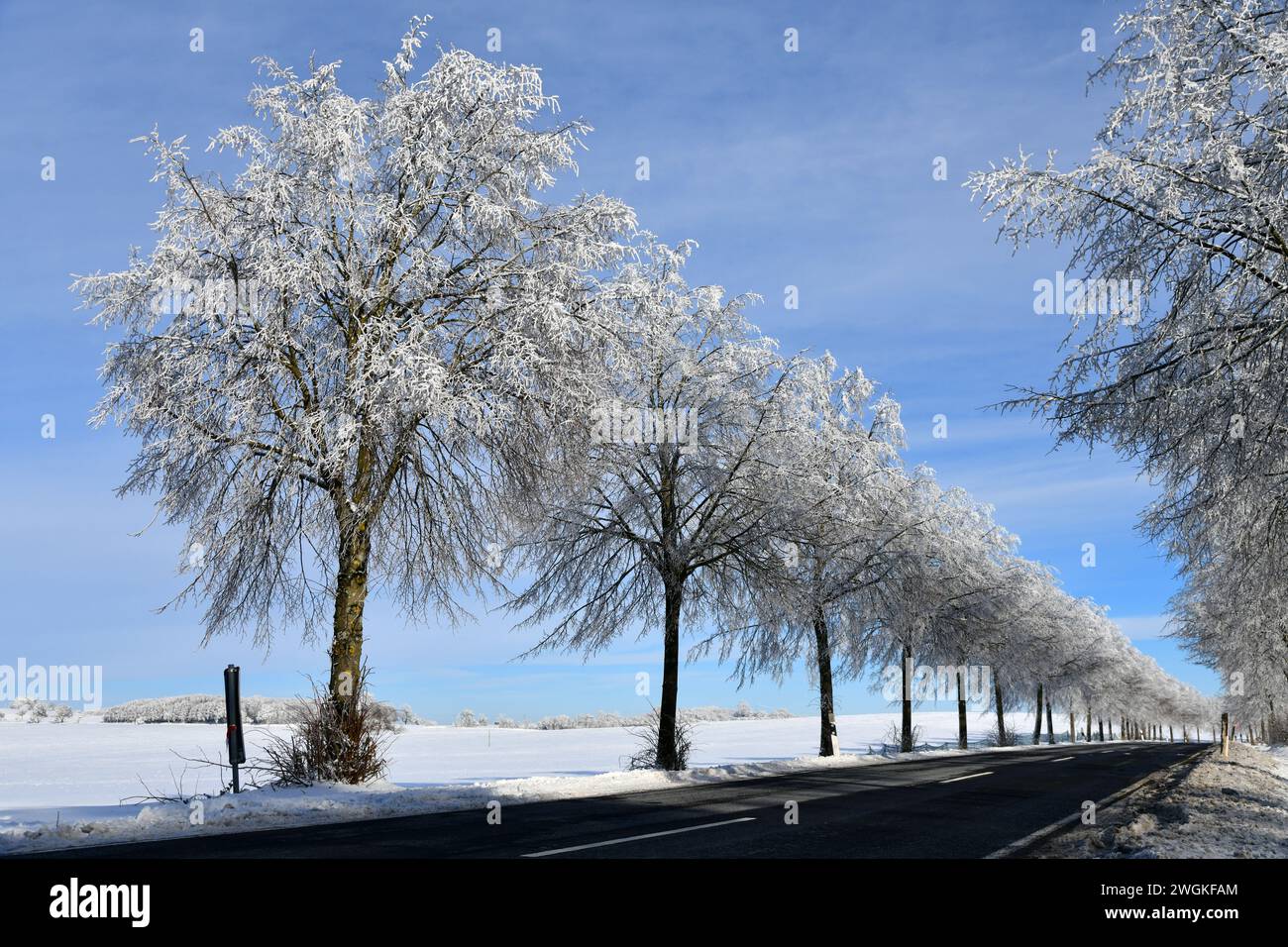 Countra road in winter with frosted trees Stock Photo - Alamy
