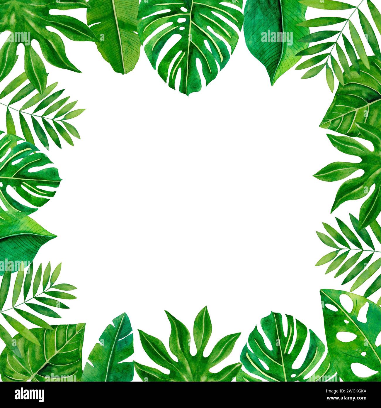 Watercolor frame tropical leaves isolated on white background Stock ...