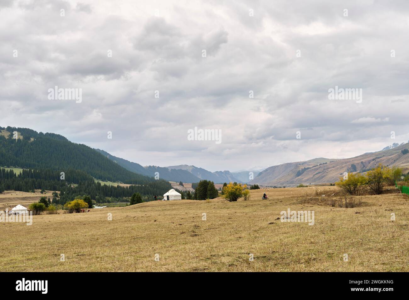 pastureland under cloudy sky in xinjiang, china Stock Photo