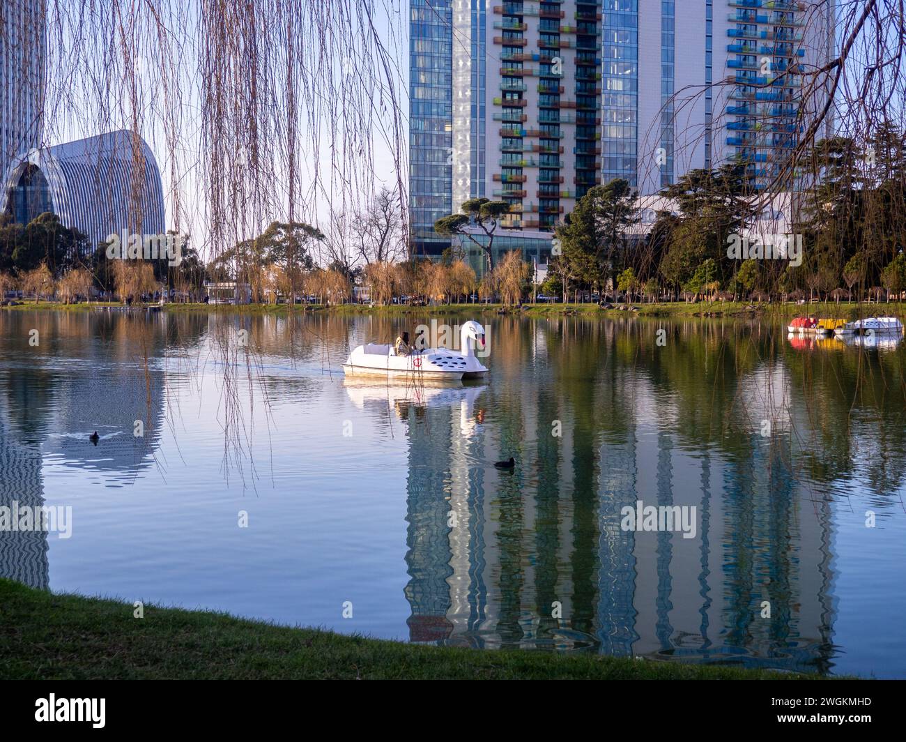 A Boat In The Shape Of A Swan On A City Lake A Beautiful Park At The A Boat In The Shape Of A Swan On A City Lake A Beautiful Park At The