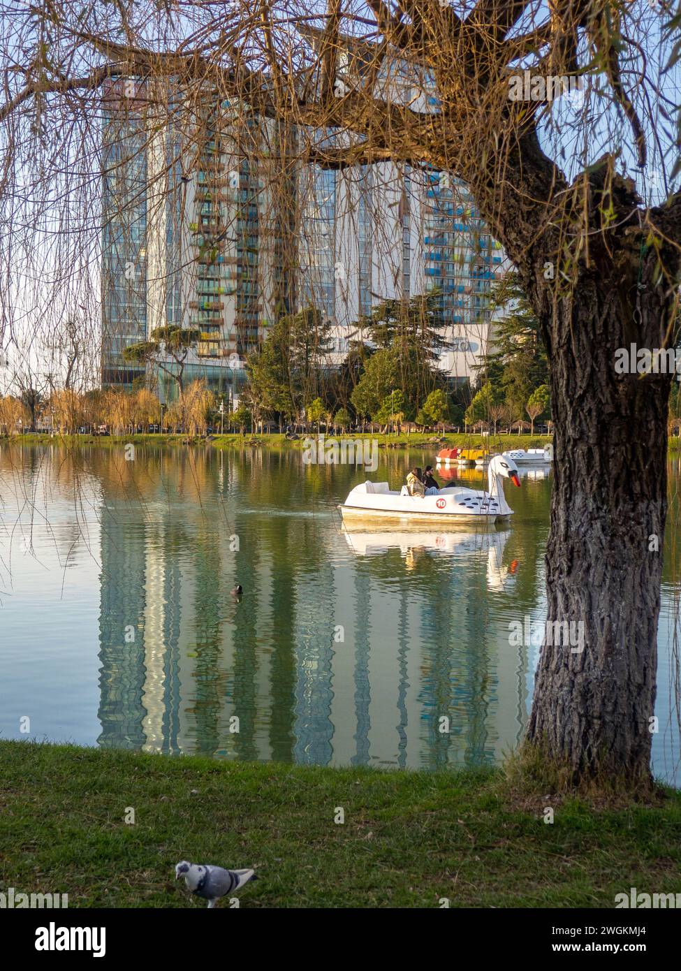 A Boat In The Shape Of A Swan On A City Lake A Beautiful Park At The A Boat In The Shape Of A Swan On A City Lake A Beautiful Park At The