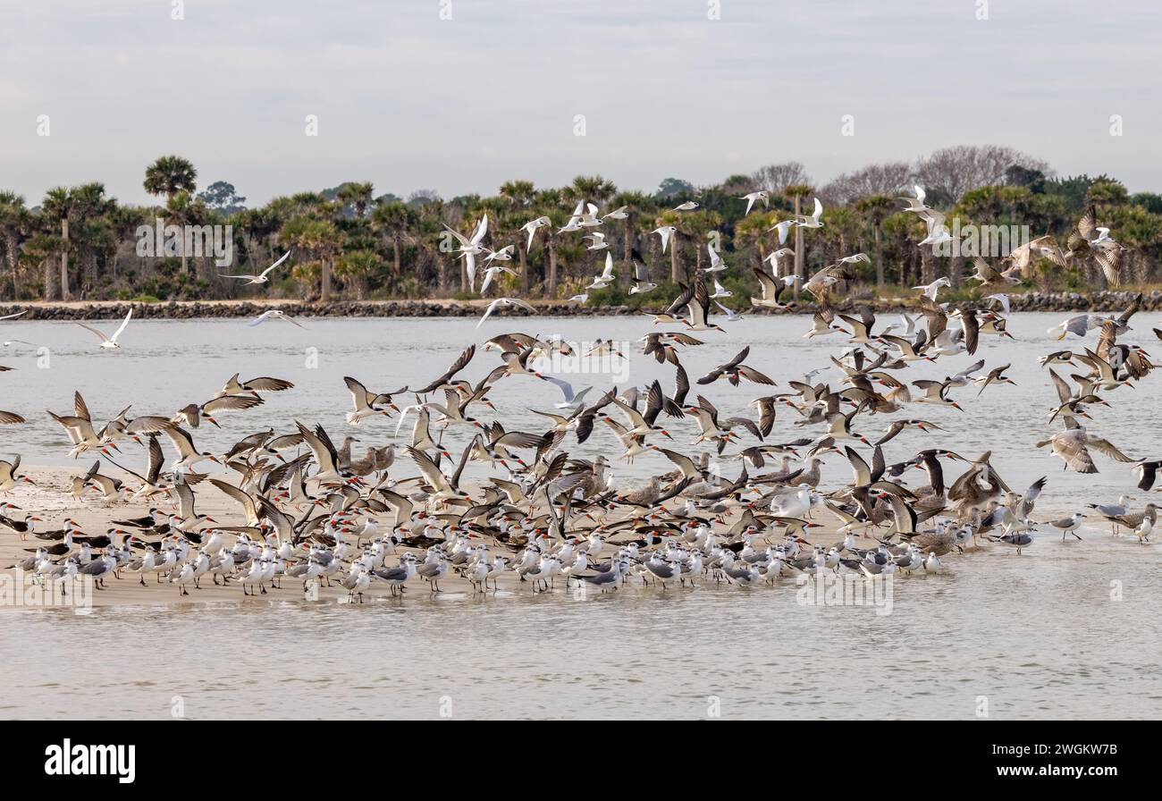 Matanzas inlet hi-res stock photography and images - Alamy