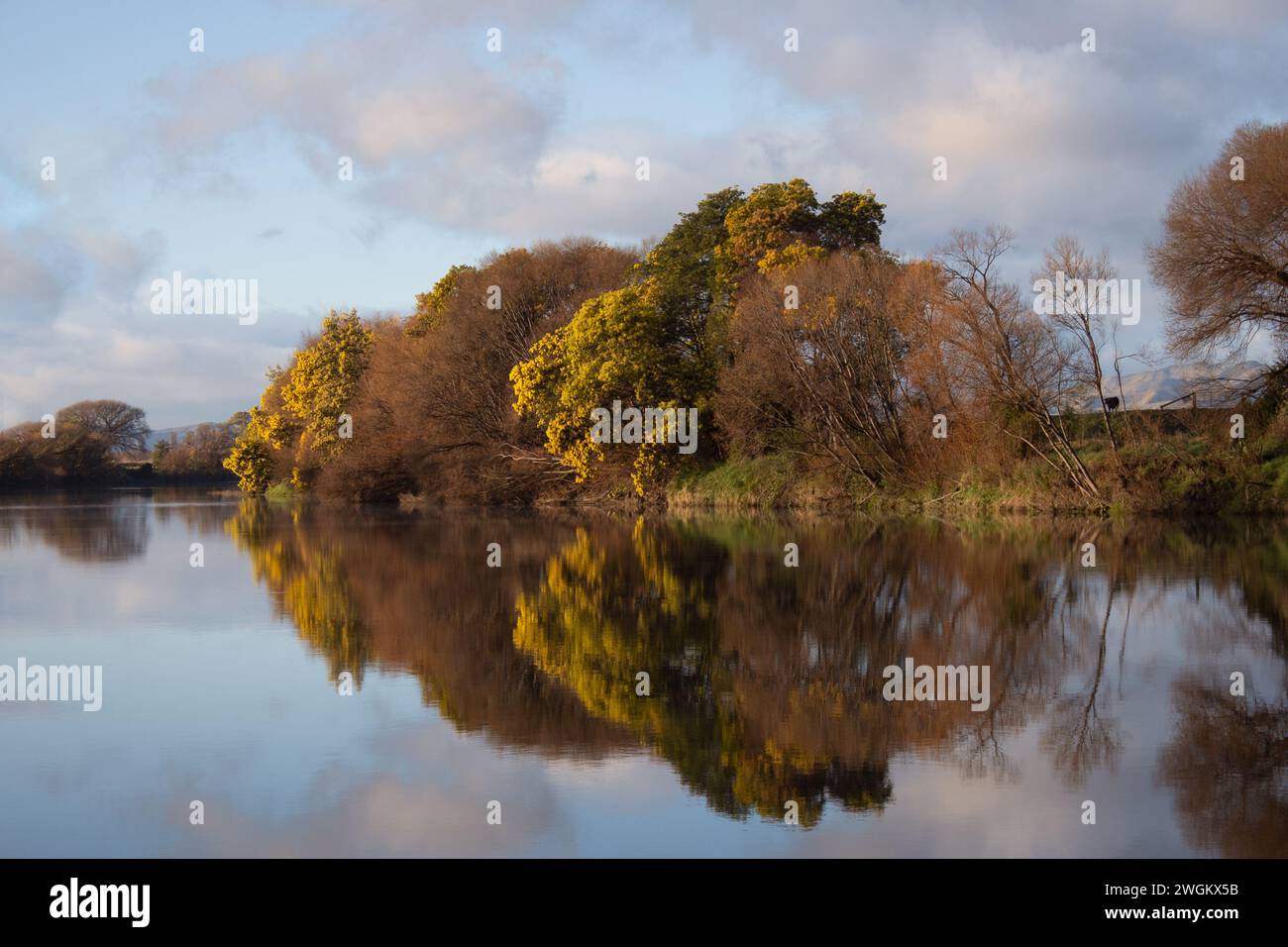 Reflection of trees on lake hi-res stock photography and images - Alamy