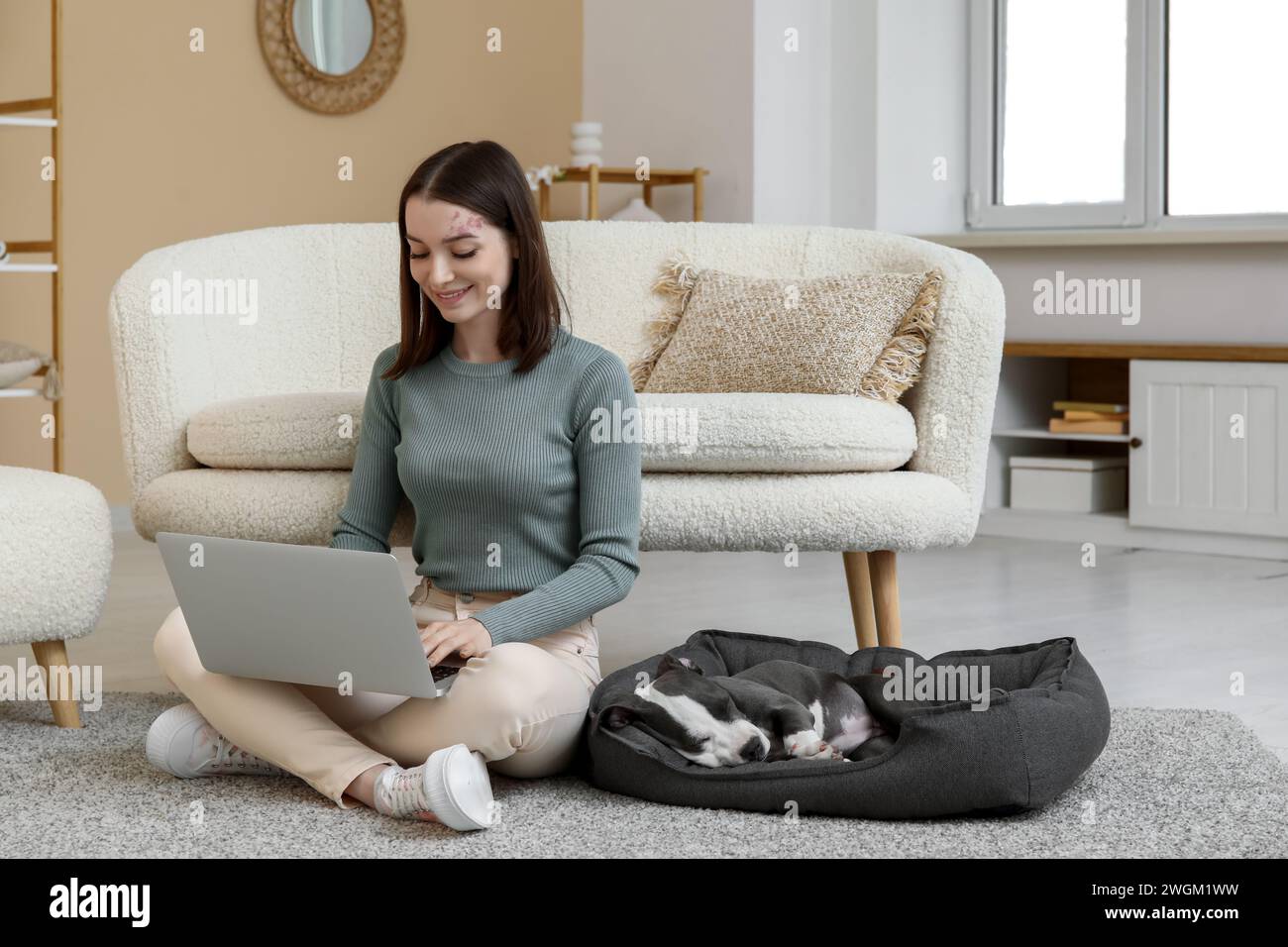 Beautiful young woman with laptop and cute staffordshire terrier puppy sleeping in pet bed at home Stock Photo