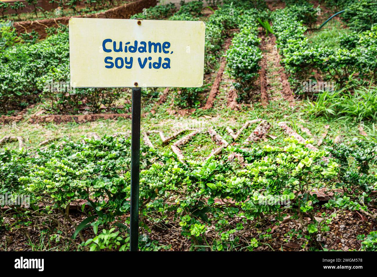 Merida Mexico,Parque Zoologico del Centenario centennial public park,,I am life take care of me,humor humour,keep off bushes grass,sign,Mexican Hispan Stock Photo