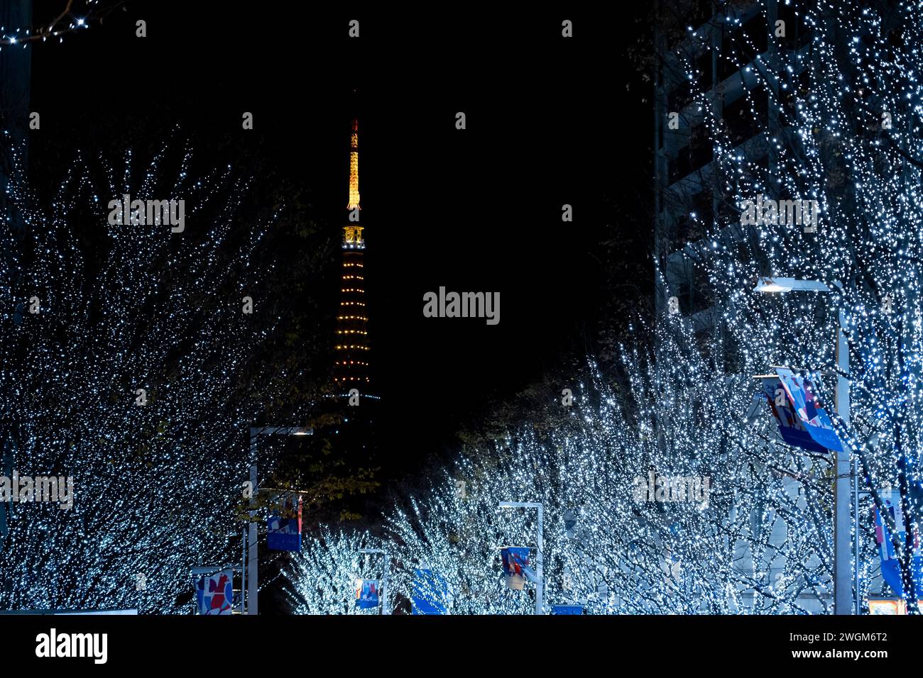 Keyakizaka Illumination in Tokyo, Japan Stock Photo - Alamy