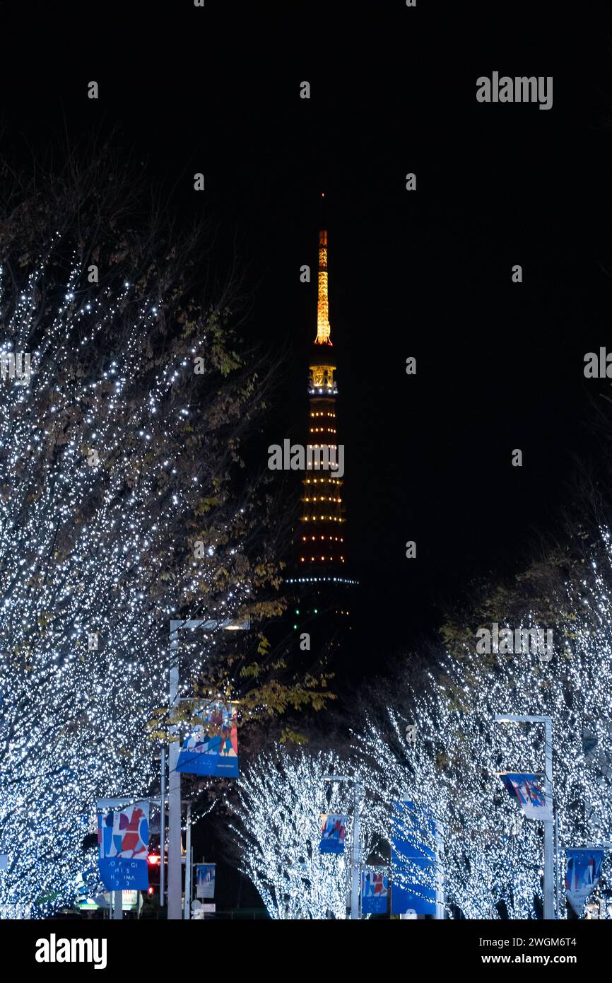 Keyakizaka Illumination in Tokyo, Japan Stock Photo