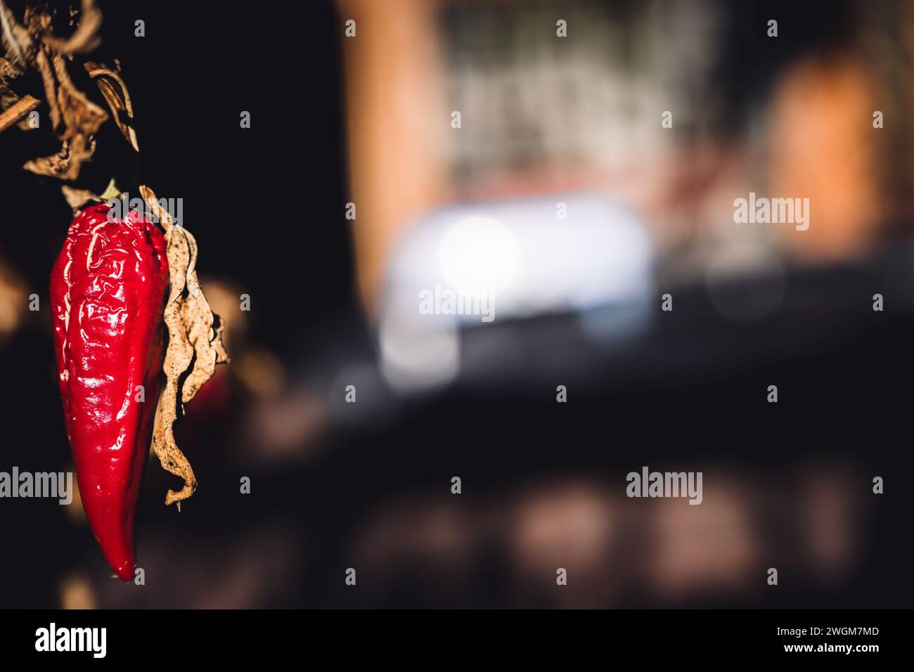 Dry red jalapeno pepper on the withered plant after a frost kill Stock