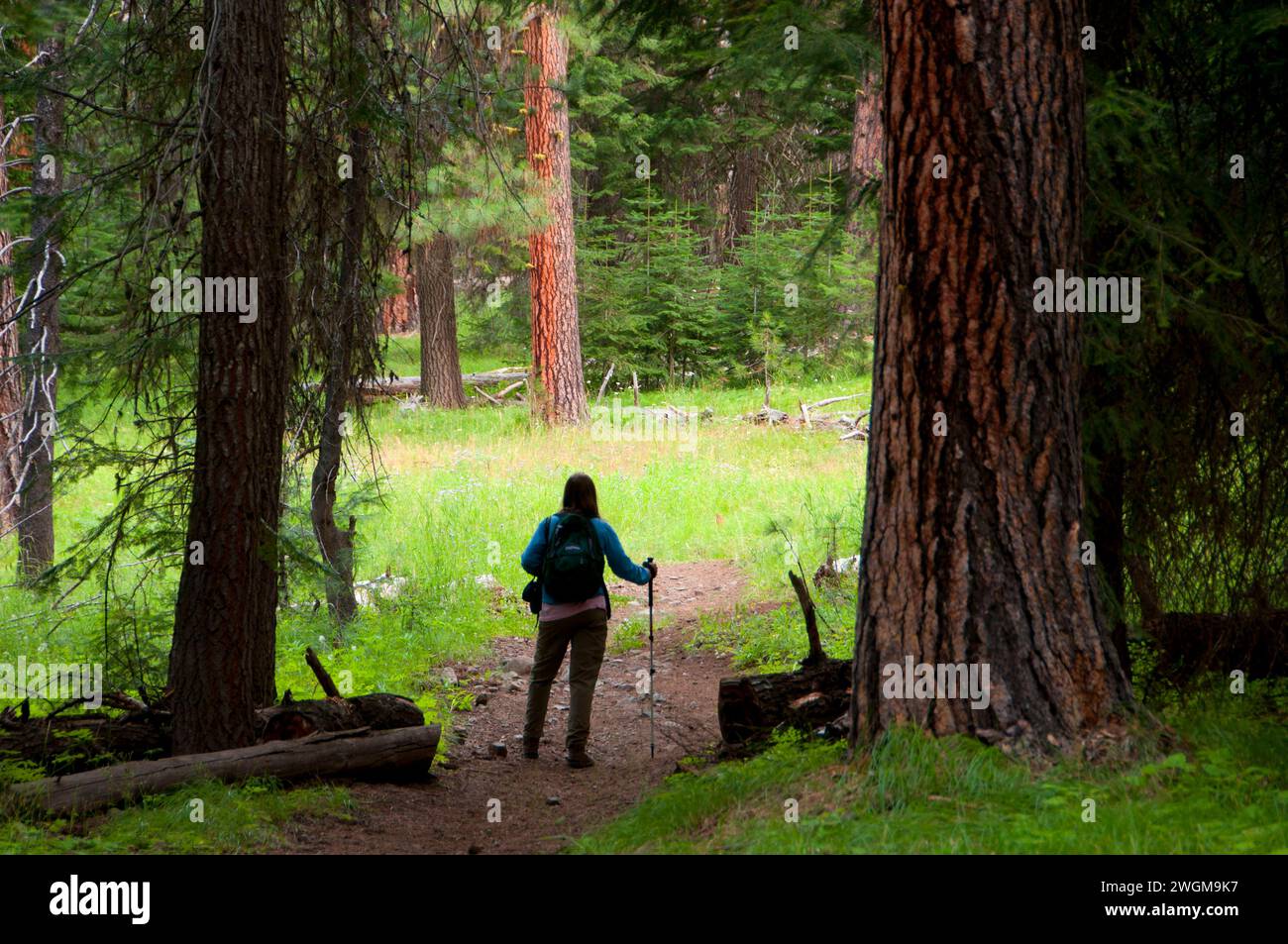 Imnaha River Trail, Imnaha Wild and Scenic River, Hells Canyon National ...