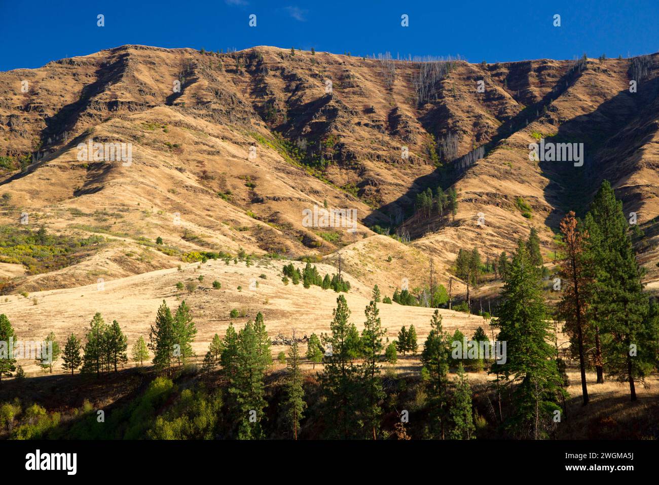 Pine Creek Canyon, Hells Canyon National Recreation Area, Hells Canyon ...