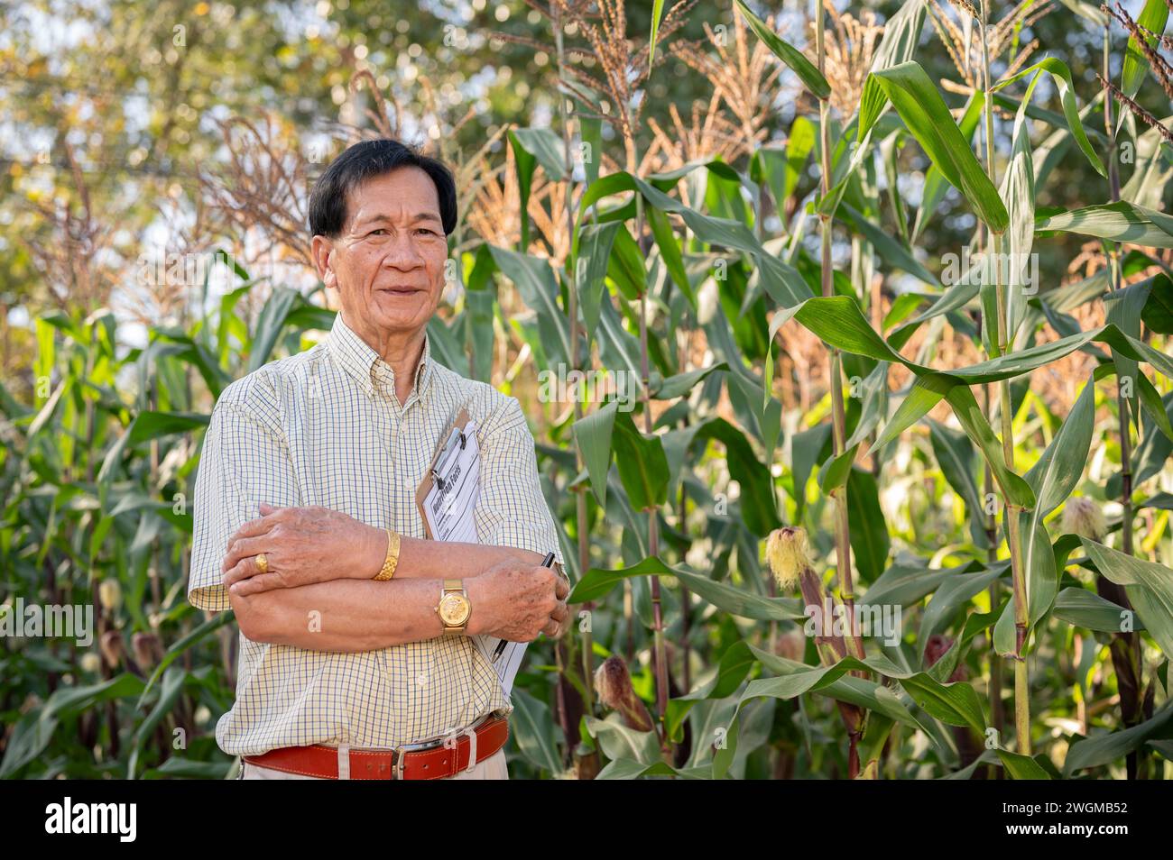 Senior successful and experienced Asian farmer or farm owner stands with his arms crossed in his