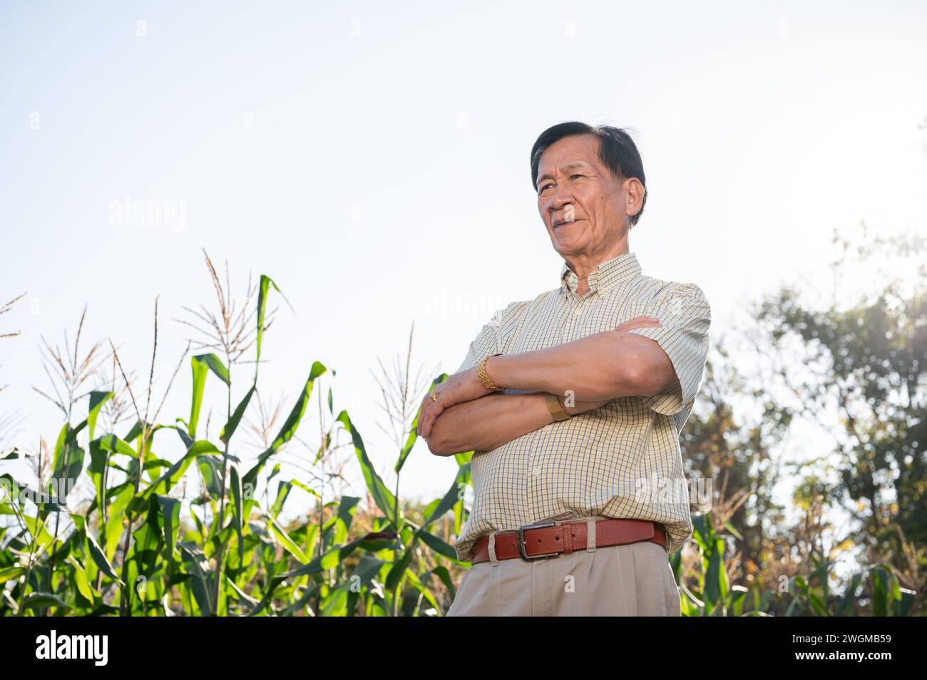 Senior successful and experienced Asian farmer or farm owner stands with his arms crossed in his