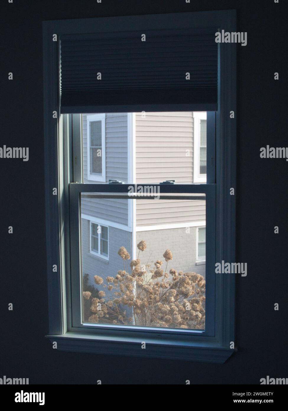 Corner of beige house with dry hydrangea seen through a window. Stock Photo