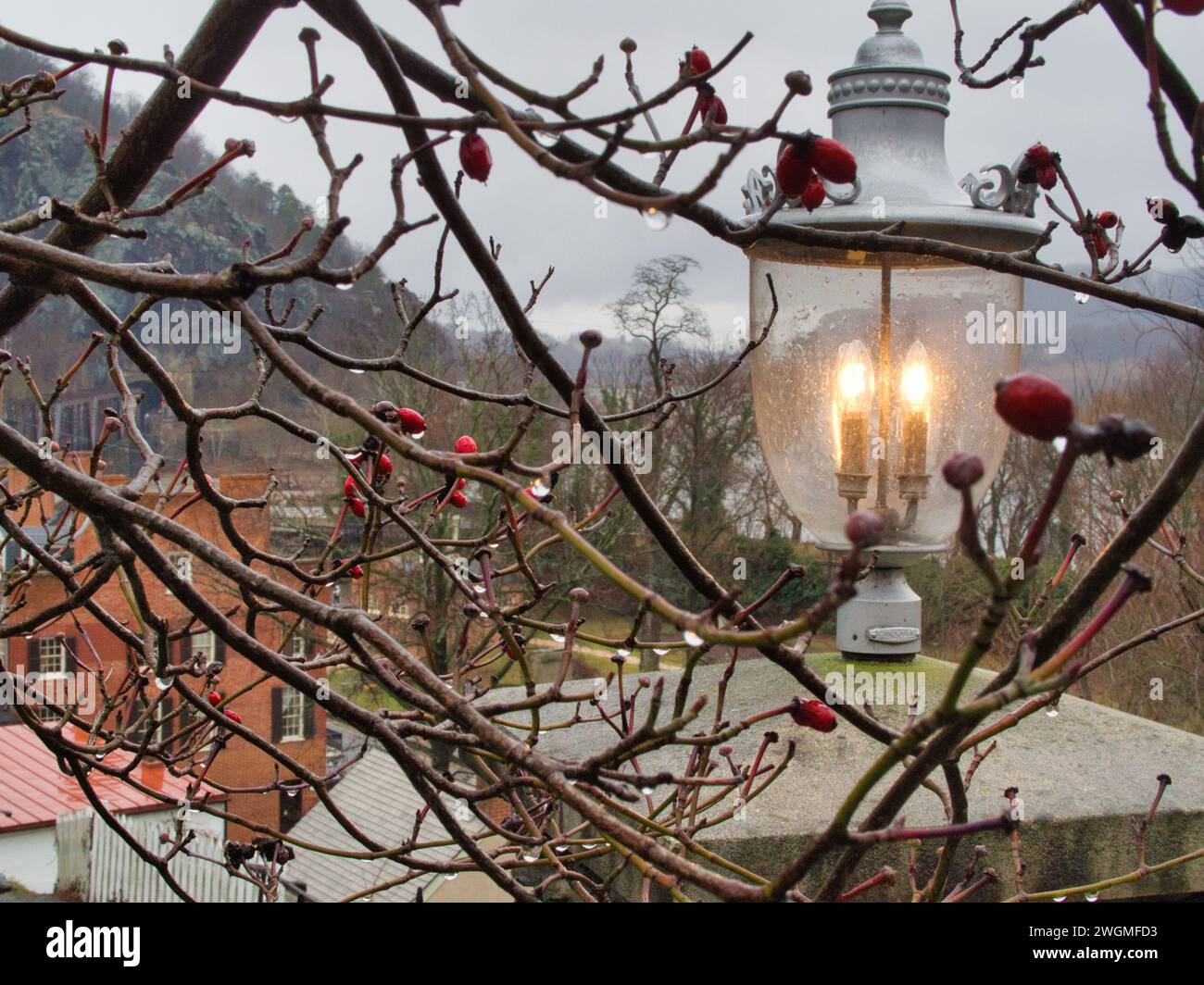 View from hillside of downtown Harpers Ferry, WV with lamp and red berries in tree. Stock Photo