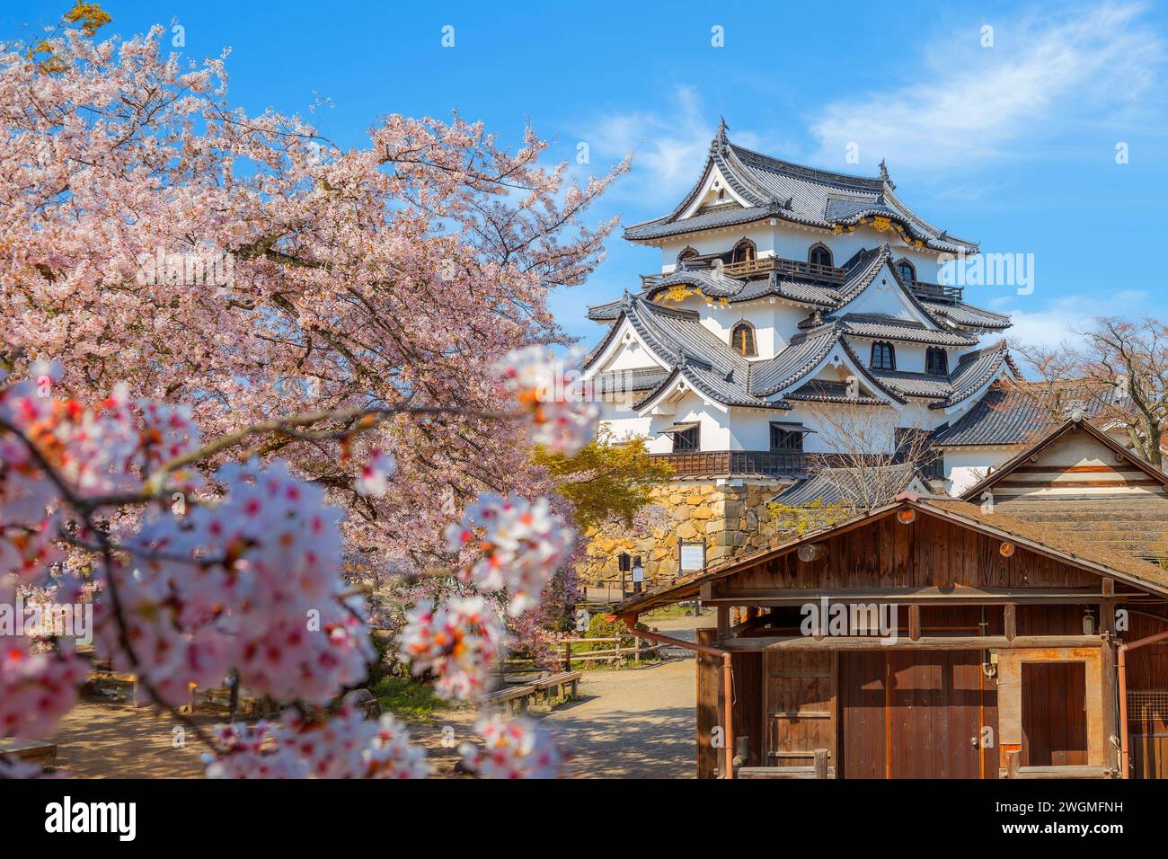 Shiga, Japan - April 3 2023: Hikone Castle completed in 1622, a ...
