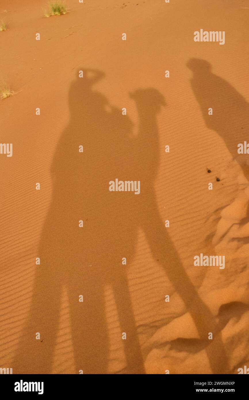 Shadow of the Camel and rider on the sand of the Sahara desert. The Sahara is a desert spanning across North Africa. With an area of 9,200,000 square kilometres (3,600,000 sq mi), it is the largest hot desert in the world and the third-largest desert overall, smaller only than the deserts of Antarctica and the northern Arctic. Morocco. Stock Photo