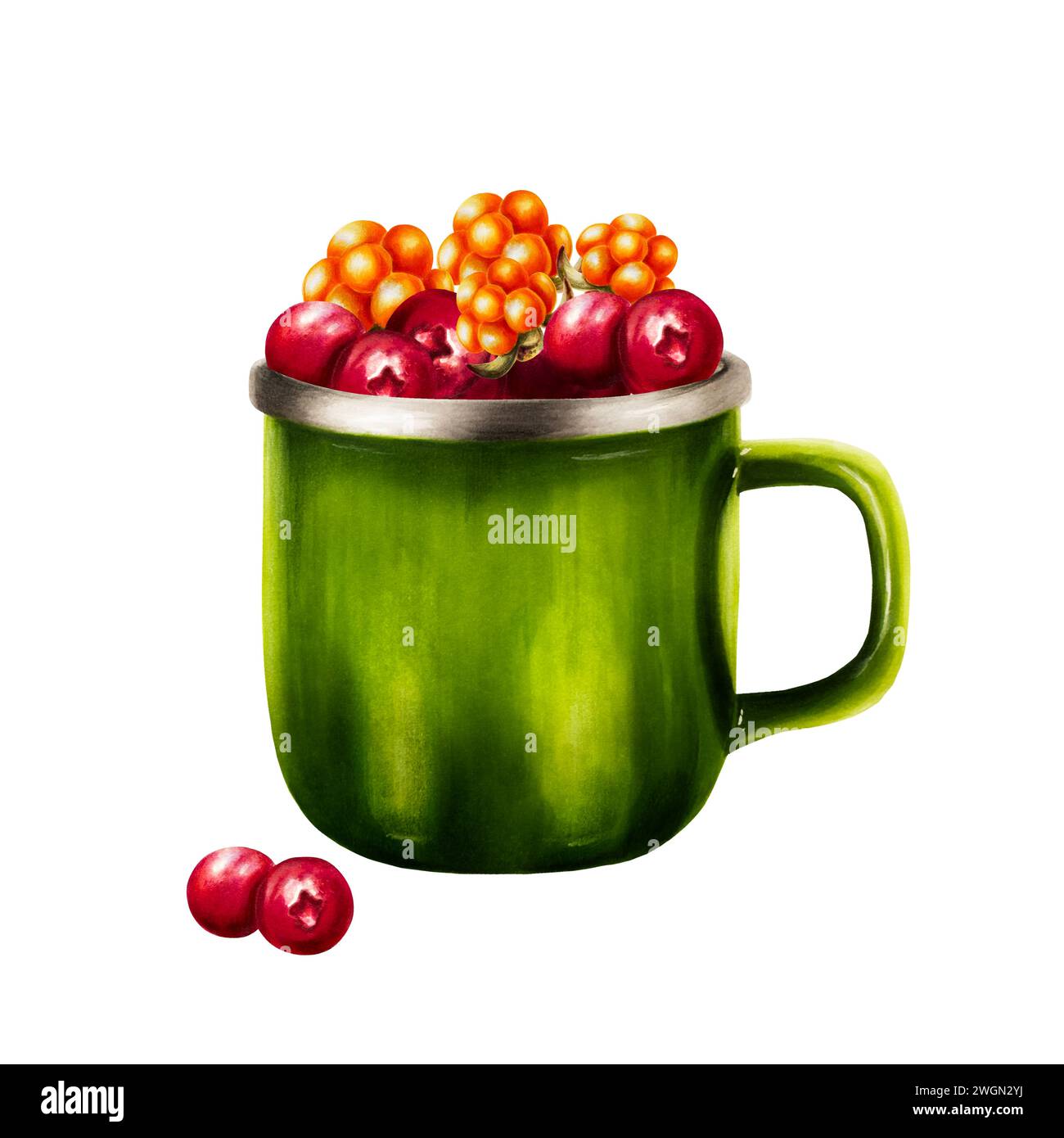 Tundra summer Cut Out Stock Images &amp; Pictures - Alamy