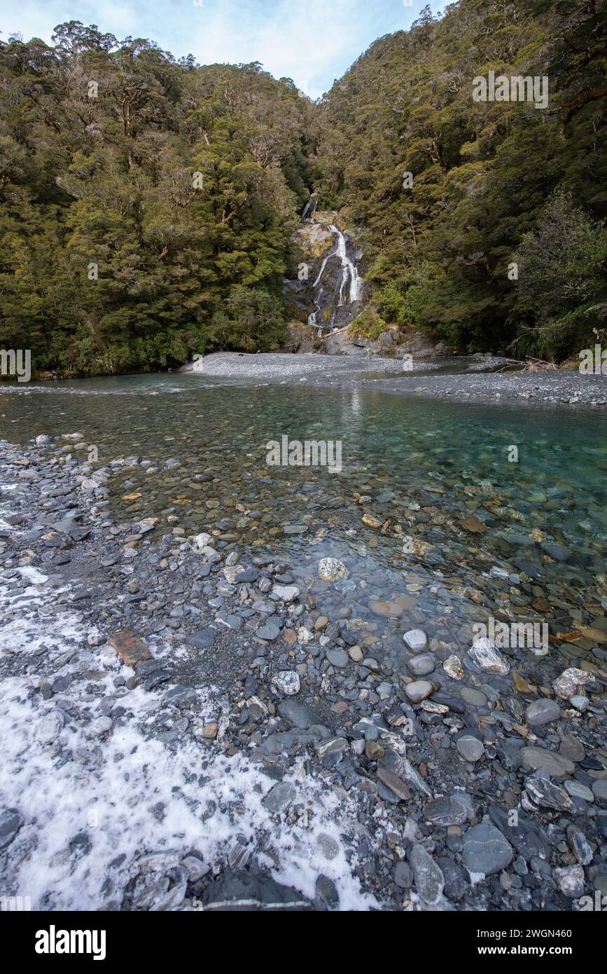 Fantail Falls on Haast River, Mount Aspiring National Park, West Coast Region, South Island, New Zealand Stock Photo