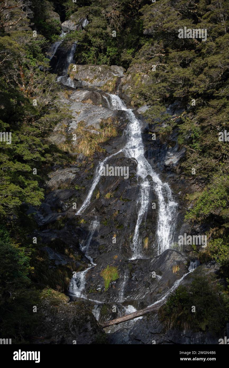 Fantail Falls on Haast River, Mount Aspiring National Park, West Coast Region, South Island, New Zealand Stock Photo