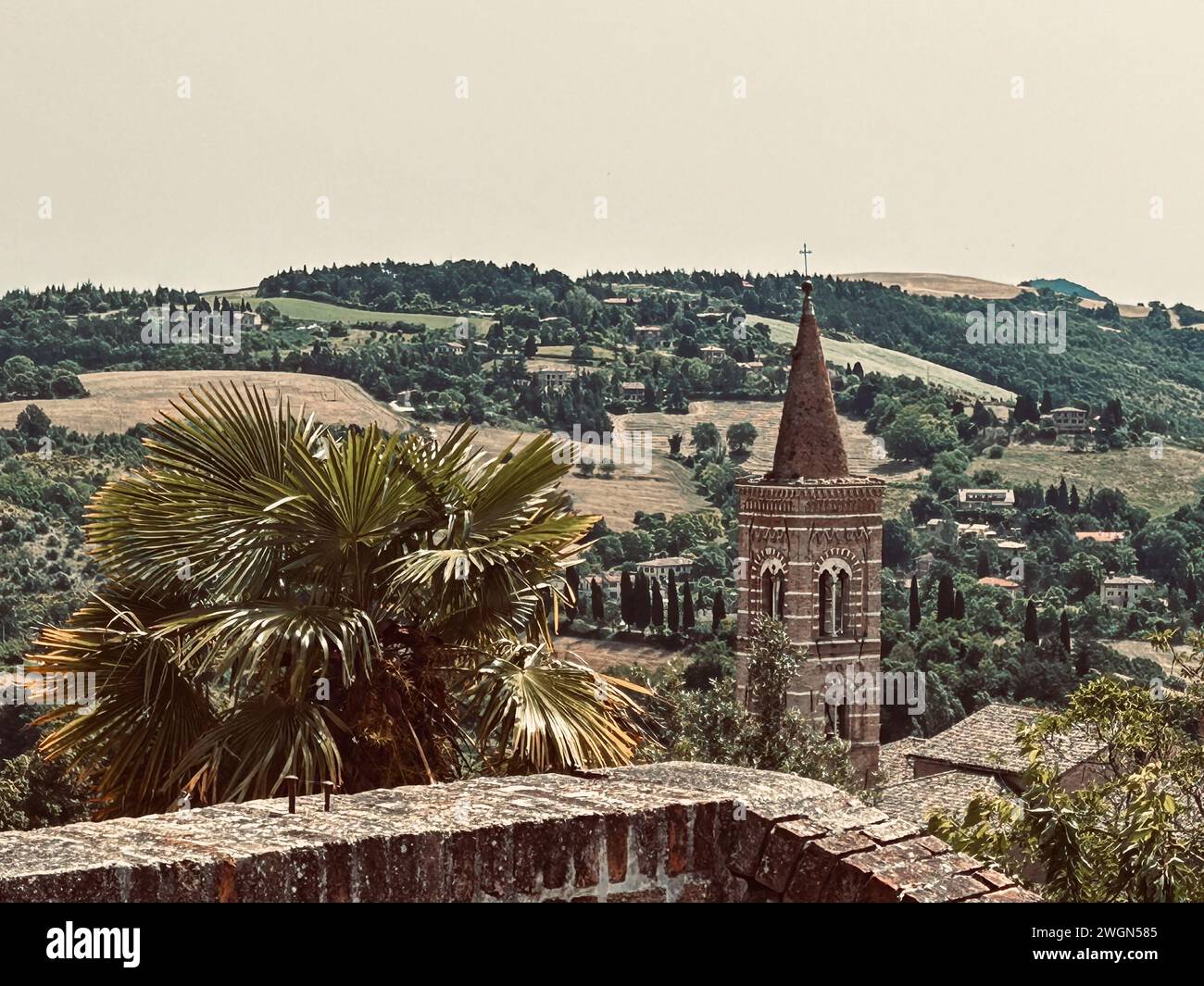Discover the enchanting allure of Urbino's architectural marvels, each 