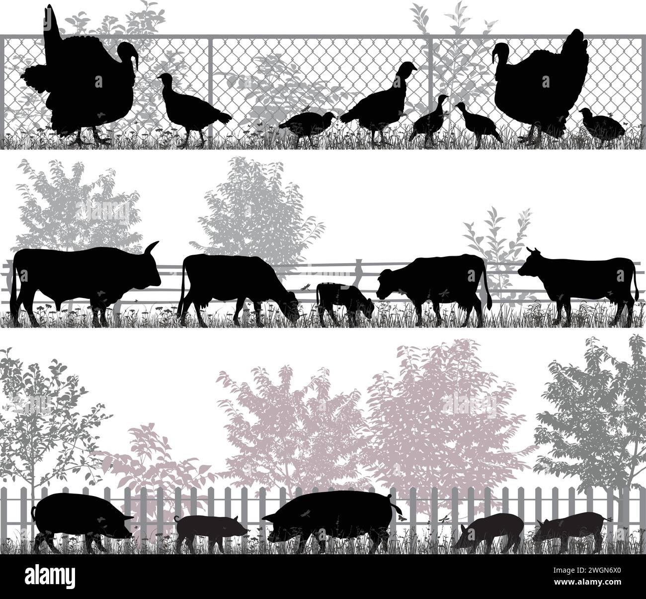Collection of silhouettes of farm animals - turkeys, cows and pigs Stock Vector