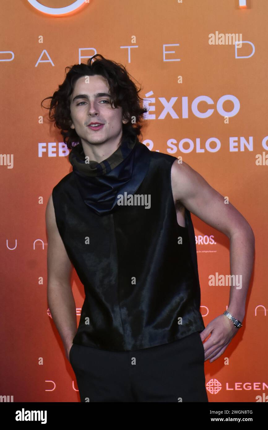 Actor timothée chalamet hi-res stock photography and images - Alamy