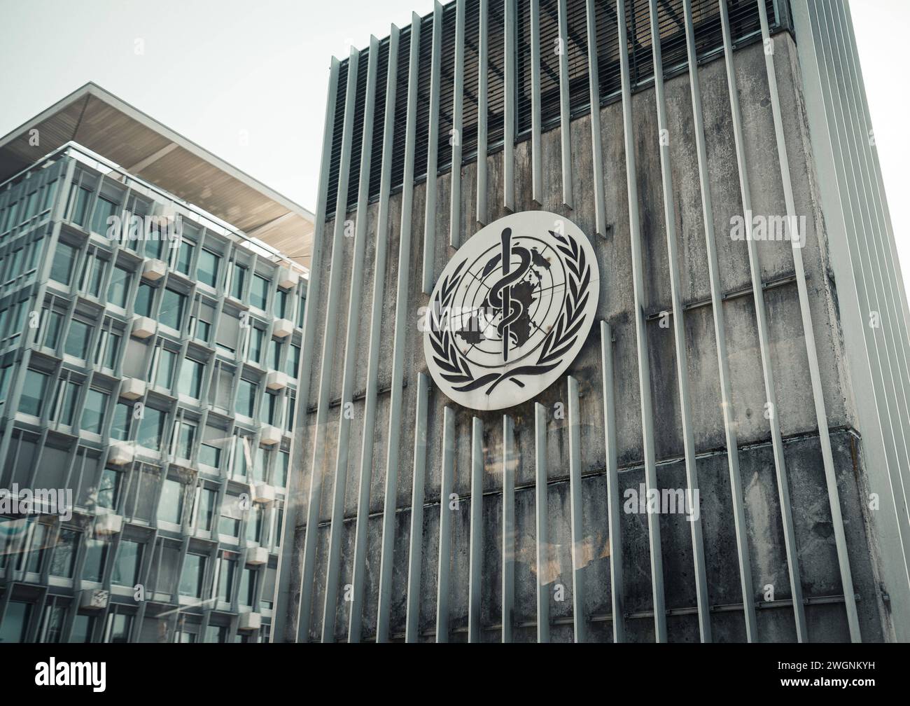 World health organisation logo hi-res stock photography and images - Alamy