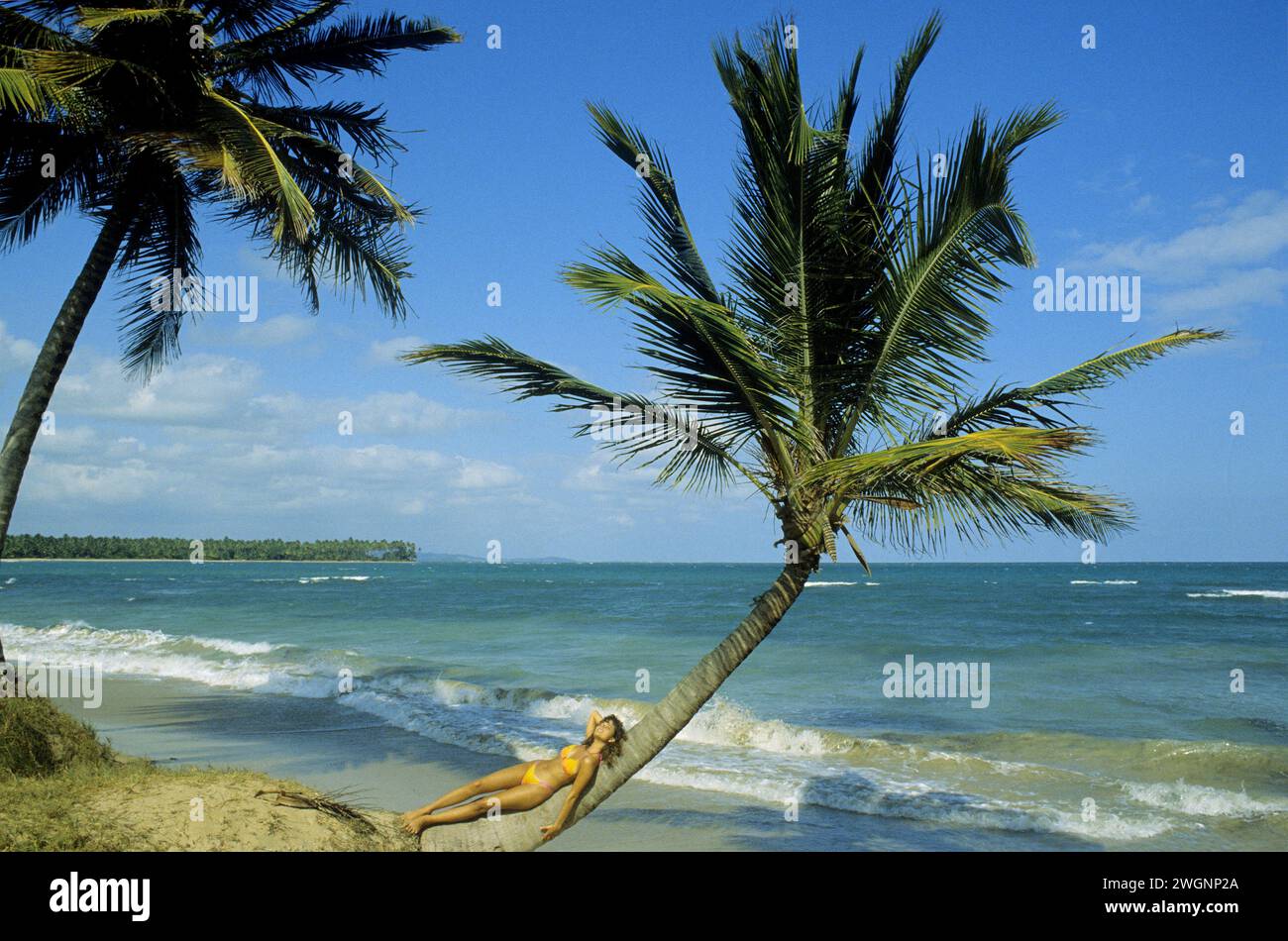 pretty dark hair young woman lay down on palm tree yellow bikini  summer holidays  blue sky and sea on background Stock Photo