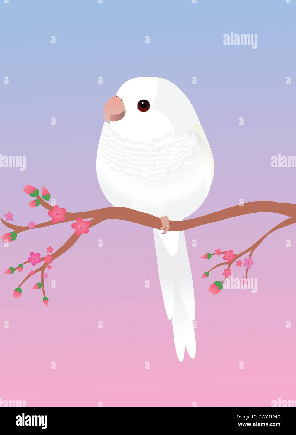 A very cute albino quaker parrot or monk parakeet in the shape of an egg. Soft pink gradient background. The bird is perched on a branch with pink bl Stock Vector