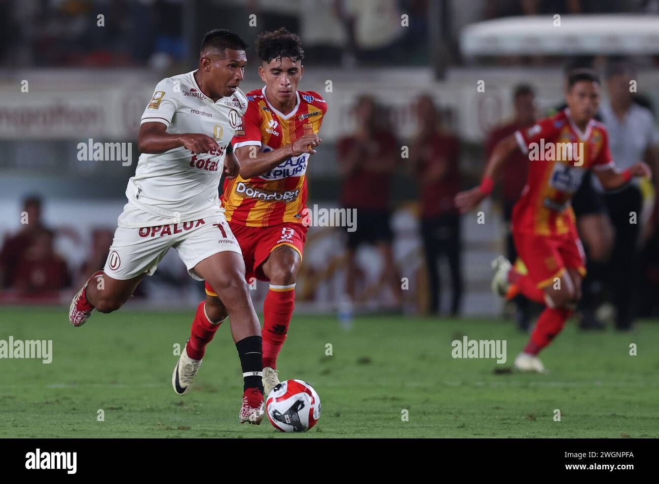 Edison Flores of Universitario de Deportes during the Torneo Apertura Liga 1 Apuesta Total 2024 match between Universitario de Deportes and Atletico Grau played at Monumental Stadium on February 4, 2024 in Lima, Peru. (Photo by Miguel Marrufo / PRESSINPHOTO) Stock Photo