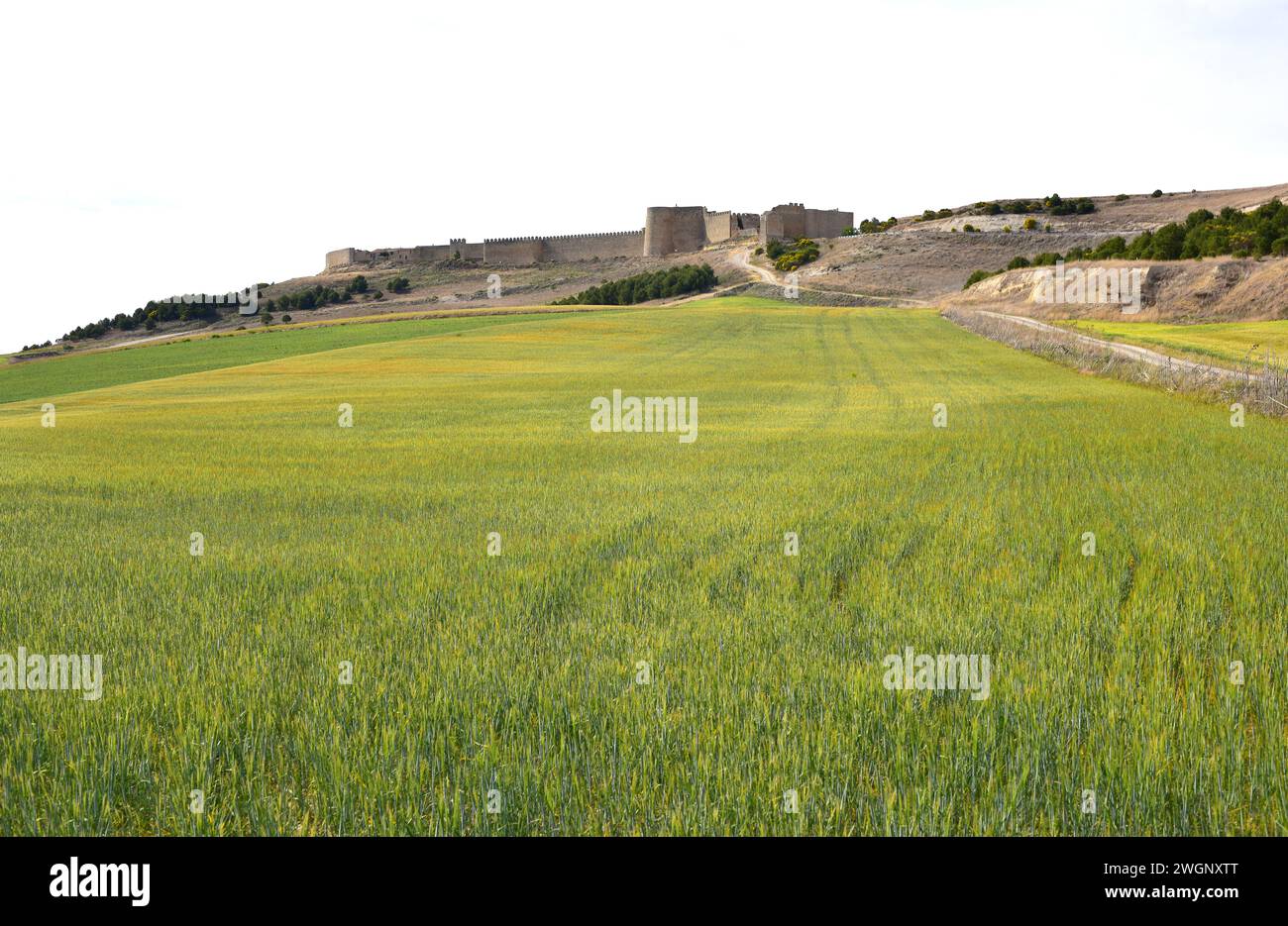 Urueña, medieval walled town. Conjunto Historico-Artistico. Valladolid province, Castilla y Leon, Spain. Stock Photo