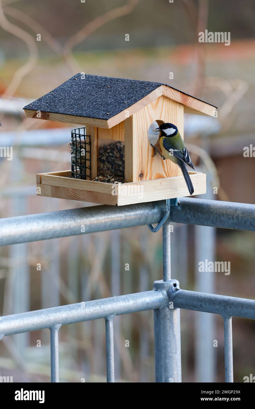 40+ Vogelhäuschen Auf Dem Balkon, Wenn sie gern dem vogelzwitschern