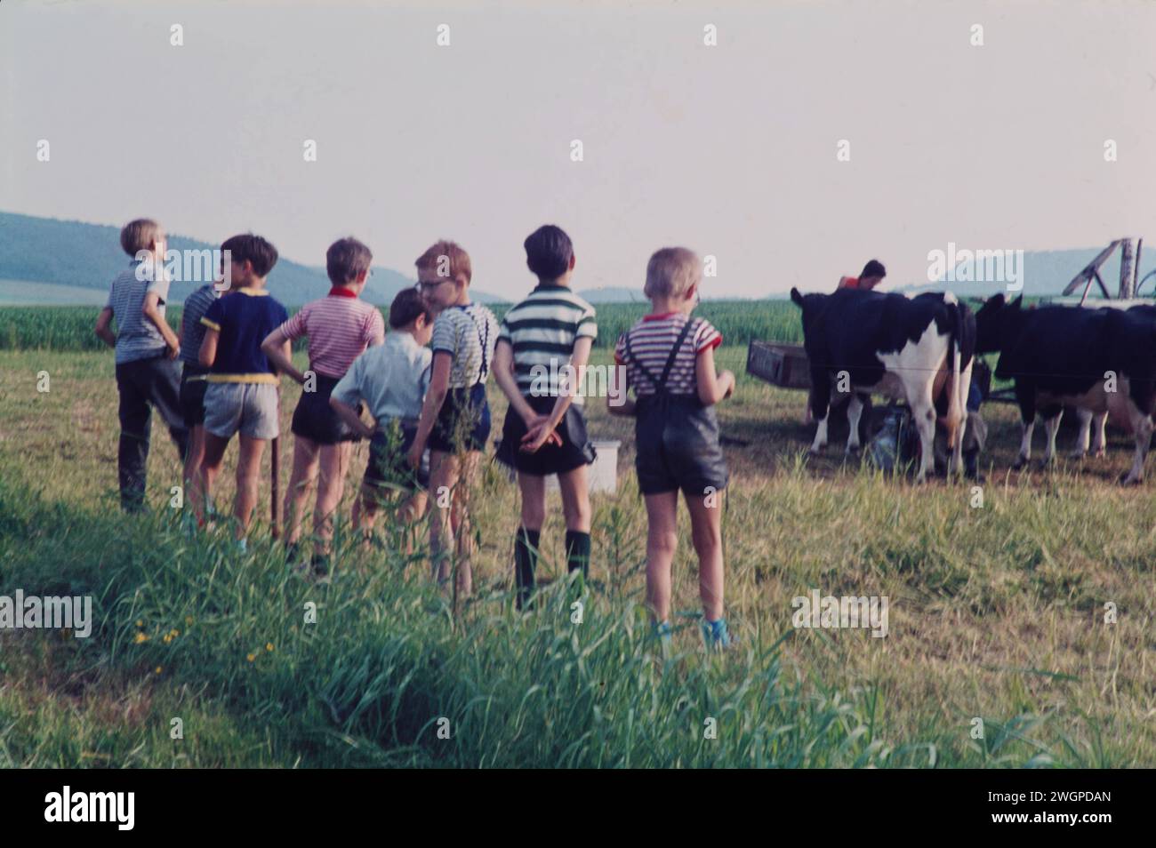 Ausflug, einer Schulklasse GER, 20240101, Aufnahme ,ca. 1970, Ausflug einer Schulklasse zu einem Bauernhof *** Excursion, a school class GER, 20240101, photo, ca 1970, Excursion of a school class to a farm Stock Photo