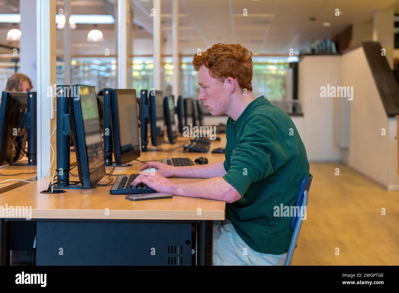 Working in computer library hi-res stock photography and images - Alamy