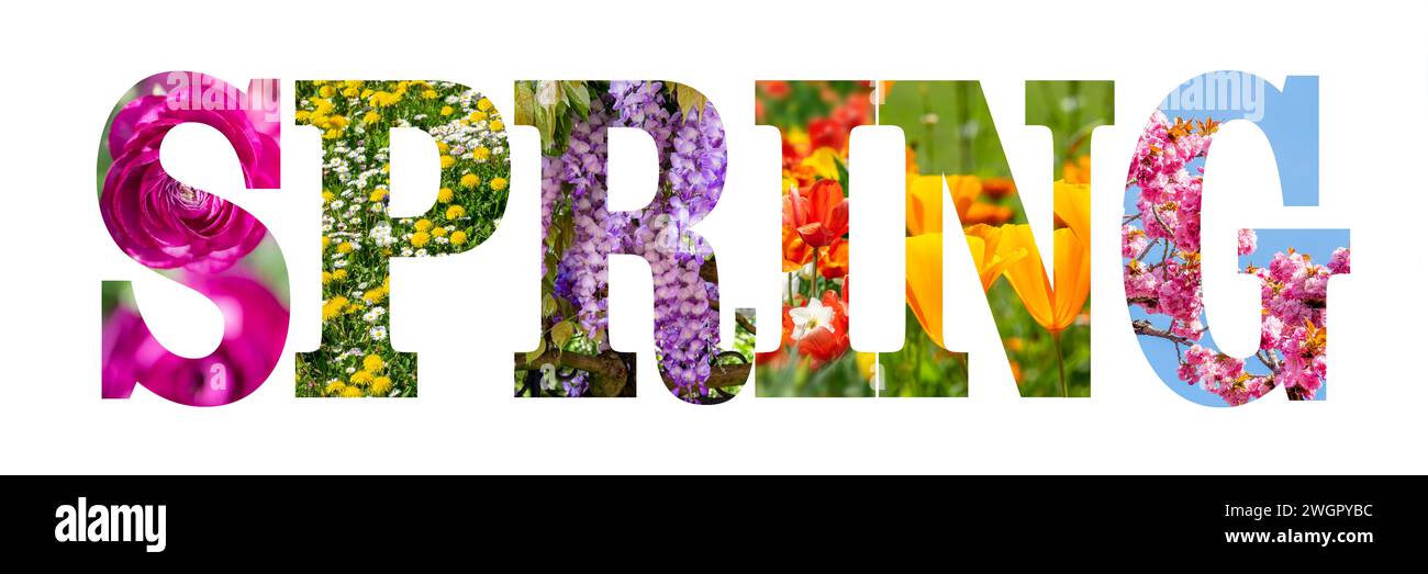 Word SPRING written with colorful nature and flowers images inside the letters, text isolated on white background Stock Photo