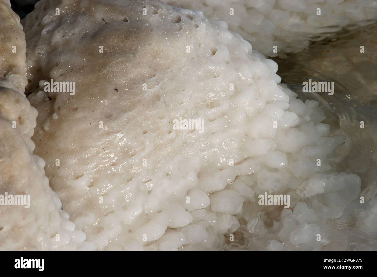 Wild Salt Rocks Crystallized salt rocks along the shores of the Dead Sea, Israel Stock ...