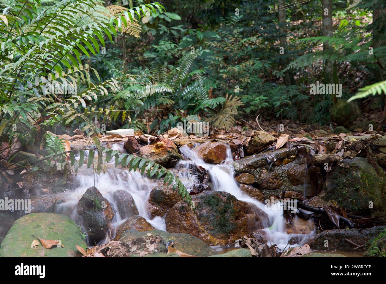 Cafe at Gunung Lambak, Kluang, Malaysia Stock Photo